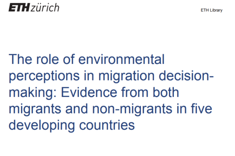 The role of environmental perceptions in migration decision-making: evidence from both migrants and non-migrants in five developing countries