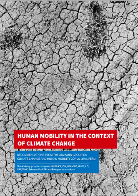 Human Mobility in the Context of Climate Change: Recommendations for the Advisory Group on Climate Change and Human Mobility COP20 Lima, Peru