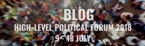 Blog high-level political forum 2018