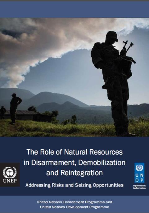 The Role of Natural Resources in Disarmament, Demobilization and Reintegration (2013)