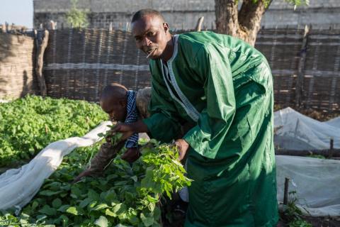 Ibrahima Sow, a Senegalese returnee, dressed up to show his work as a market gardener. IOM