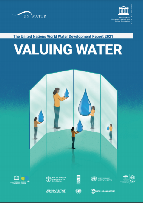 Valuing water cover